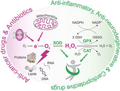 Modulation of Reactive Oxygen Species Homeostasis as a Pleiotropic Effect of Commonly Used Drugs